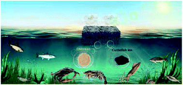 Graphical abstract: Seawater desalination derived entirely from ocean biomass