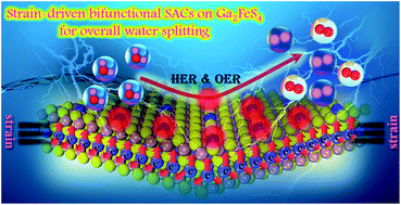 Graphical abstract: A sandwich-like Ga2FeS4-supported single metal atom as a promising bifunctional electrocatalyst for overall water splitting