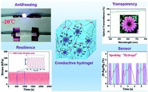 Graphical abstract: Bioinspired, nucleobase-driven, highly resilient, and fast-responsive antifreeze ionic conductive hydrogels for durable pressure and strain sensors
