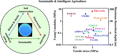 Graphical abstract: Robust supramolecular composite hydrogels for sustainable and “visible” agriculture irrigation
