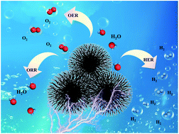 Graphical abstract: Multifunctional bayberry-like composites consisting of CoFe encapsulated by carbon nanotubes for overall water splitting and zinc–air batteries