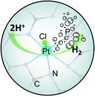 Graphical abstract: Platinum-complexed phosphorous-doped carbon nitride for electrocatalytic hydrogen evolution