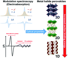 Graphical abstract: Resolving buried optoelectronic features in metal halide perovskites via modulation spectroscopy studies