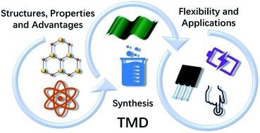 Graphical abstract: Flexible electronics based on 2D transition metal dichalcogenides