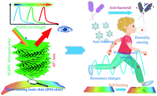 Graphical abstract: Highly synergistic, electromechanical and mechanochromic dual-sensing ionic skin with multiple monitoring, antibacterial, self-healing, and anti-freezing functions