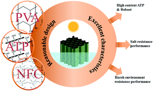 Graphical abstract: Robust superhydrophilic attapulgite-based aligned aerogels for highly efficient and stable solar steam generation in harsh environments