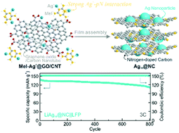 Graphical abstract: Argentophilic pyridinic nitrogen for embedding lithiophilic silver nanoparticles in a three-dimensional carbon scaffold for reversible lithium plating/stripping