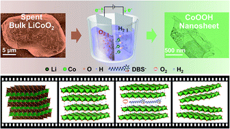 Graphical abstract: Exfoliating spent cathode materials with robust interlayer interactions into atomic-thin nanosheets for boosting the oxygen evolution reaction
