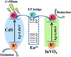 Graphical abstract: Europium single atom based heterojunction photocatalysts with enhanced visible-light catalytic activity