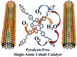 Graphical abstract: Pyrolysis-free synthesis of single-atom cobalt catalysts for efficient oxygen reduction