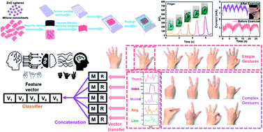 Graphical abstract: A flexible dual-structured MXene for ultra-sensitive and ultra-wide monitoring of anatomical and physiological movements