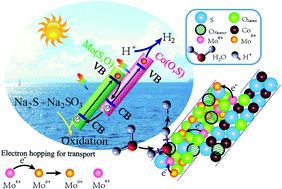 Graphical abstract: A molybdenum sulfo-oxide/cobalt oxysulfide Z-scheme heterojunction catalyst for efficient photocatalytic hydrogen production and pollutant reduction
