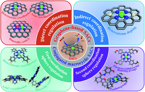 Graphical abstract: Support-based modulation strategies in single-atom catalysts for electrochemical CO2 reduction: graphene and conjugated macrocyclic complexes
