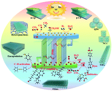 Graphical abstract: Metal halide perovskites for photocatalysis applications