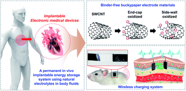 Graphical abstract: A durable high-energy implantable energy storage system with binder-free electrodes useable in body fluids