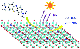 Graphical abstract: Photocatalytic degradation of methylene blue (MB) with Cu1–ZnO single atom catalysts on graphene-coated flexible substrates