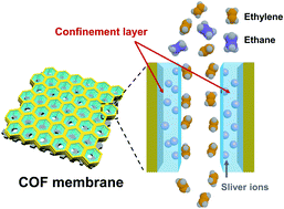 Graphical abstract: Efficient ethylene/ethane separation through ionic liquid-confined covalent organic framework membranes