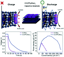 Graphical abstract: Layer-by-layer construction of in situ formed polypyrrole and bacterial cells as capacitive bioanodes for paper-based microbial fuel cells