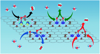 Graphical abstract: Dual-metal atom incorporated N-doped graphenes as oxygen evolution reaction electrocatalysts: high activities achieved by site synergies
