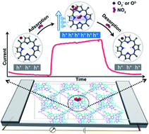 Graphical abstract: Crystalline microporous small molecule semiconductors based on porphyrin for high-performance chemiresistive gas sensing