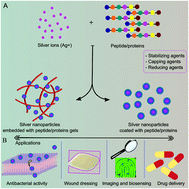 Graphical abstract: Silver-incorporating peptide and protein supramolecular nanomaterials for biomedical applications