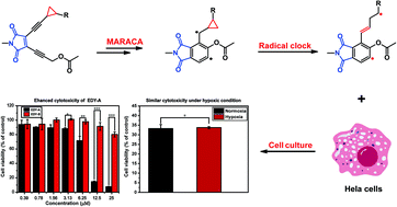 Graphical abstract: Synthesis of maleimide-based enediynes with cyclopropane moieties for enhanced cytotoxicity under normoxic and hypoxic conditions