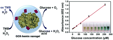 Graphical abstract: GOX-hemin nanogels with enhanced cascade activity for sensitive one-step glucose detection
