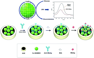 Graphical abstract: Amine-functionalized Cu-MOF nanospheres towards label-free hepatitis B surface antigen electrochemical immunosensors