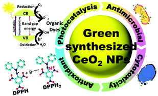 Graphical abstract: Green-synthesized CeO2 nanoparticles for photocatalytic, antimicrobial, antioxidant and cytotoxicity activities