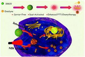 Graphical abstract: A carrier-free nanoparticle with dual NIR/acid responsiveness by co-assembly of enediyne and IR820 for combined PTT/chemotherapy