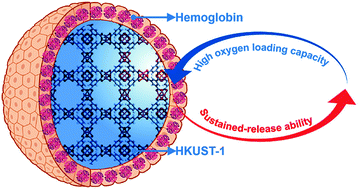 Graphical abstract: Hemoglobin coated oxygen storage metal–organic framework as a promising artificial oxygen carrier