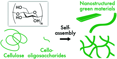 Graphical abstract: Self-assembly of cellulose for creating green materials with tailor-made nanostructures