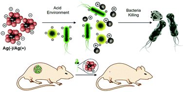 Graphical abstract: Charge-reversal silver clusters for targeted bacterial killing