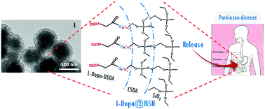 Graphical abstract: l-Dopa release from mesoporous silica nanoparticles engineered through the concept of drug-structure-directing agents for Parkinson's disease