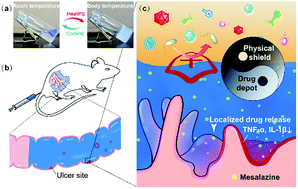 Graphical abstract: Thermosensitive polymer hydrogel as a physical shield on colonic mucosa for colitis treatment