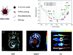 Graphical abstract: Impact of the chain length on the biodistribution profiles of PEGylated iron oxide nanoparticles: a multimodal imaging study
