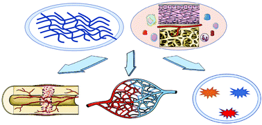 Graphical abstract: The antigenicity of silk-based biomaterials: sources, influential factors and applications