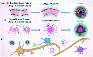 Graphical abstract: Hydrophilic polymer driven crystallization self-assembly: an inflammatory multi-drug combination nanosystem against Alzheimer’s disease