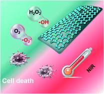 Graphical abstract: Carbonized zein nanosheets with intrinsic enzyme-mimicking activities and high photothermal conversion efficiency for synergistic cancer therapy