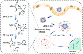 Graphical abstract: Cancer cell membrane-coated nanogels as a redox/pH dual-responsive drug carrier for tumor-targeted therapy