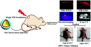 Graphical abstract: A zwitterionic polypeptide nanocomposite with unique NIR-I/II photoacoustic imaging for NIR-I/II cancer photothermal therapy