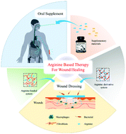 Graphical abstract: Advances and impact of arginine-based materials in wound healing