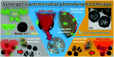 Graphical abstract: Chalcogenide nanoparticles and organic photosensitizers for synergetic antimicrobial photodynamic therapy