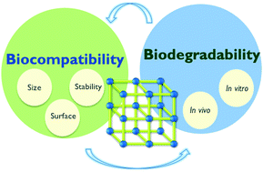Graphical abstract: Biocompatibility and biodegradability of metal organic frameworks for biomedical applications