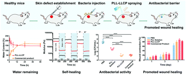 Graphical abstract: A bacteria-resistant and self-healing spray dressing based on lyotropic liquid crystals to treat infected post-operative wounds