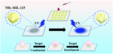 Graphical abstract: Fabricating a wettable microwells array onto a nitrogen plasma-treated ITO substrate: high-throughput fluorimetric platform for selective sensing of ammonia in blood using polymer-stabilized NH2-MIL-125