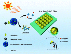 Graphical abstract: Graphene-coated copper-doped ZnO quantum dots for sensitive photoelectrochemical bioanalysis of thrombin triggered by DNA nanoflowers