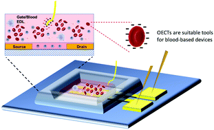 Graphical abstract: Organic electrochemical transistors as novel biosensing platforms to study the electrical response of whole blood and plasma
