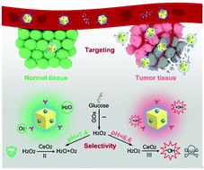 Graphical abstract: Cell membrane camouflaged cerium oxide nanocubes for targeting enhanced tumor-selective therapy
