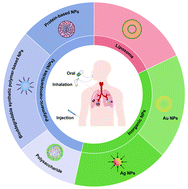 Graphical abstract: Nanomedicine to advance the treatment of bacteria-induced acute lung injury